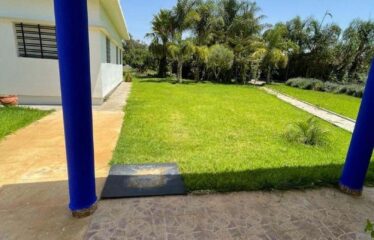 ferme kenitra a vendre Mgadid massira à côté de souk Tnin