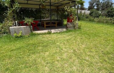 ferme kenitra a vendre Mgadid massira à côté de souk Tnin